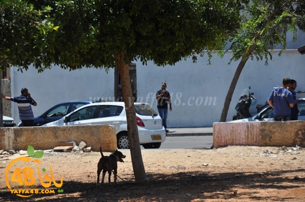 modahaman3j (14).JPG